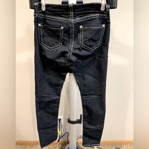 Daytrip Lynx Skinny Jeans